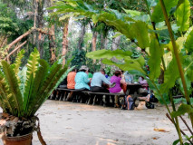 Área de piquenique sombreada na floresta junto às cascatas Kuang Si perto de Luang Prabang