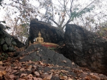 IMG_20150308_115645-1024x768